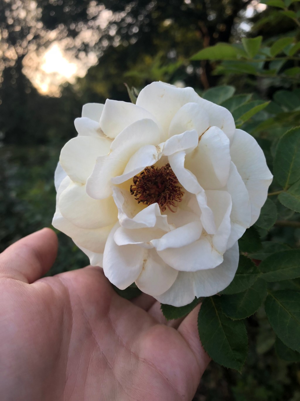 How Jealousy Serves a&nbsp;Purpose