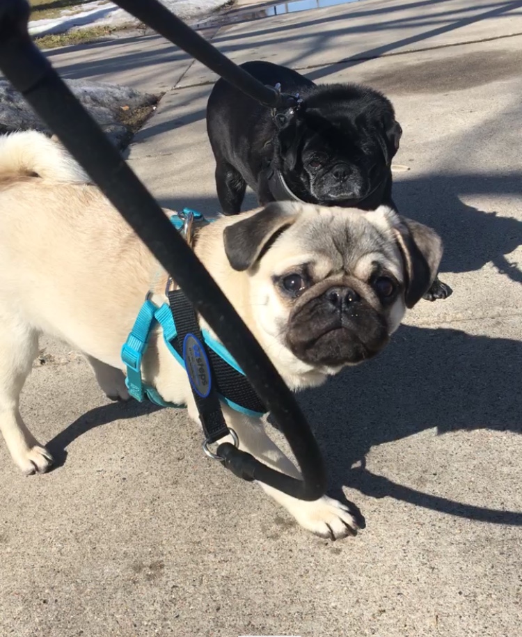 3 Things You Need to Ask Yourself Before Starting A Fitness&nbsp;Journey