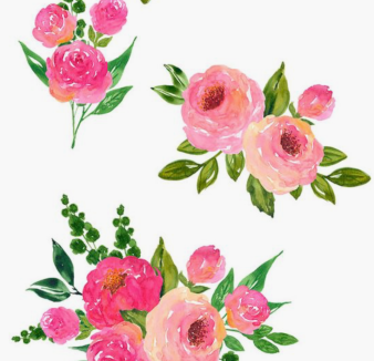 Screen Shot 2018-09-15 at 12.23.19 PM