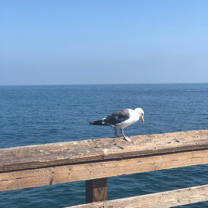 Finding Motivation on a&nbsp;Tuesday